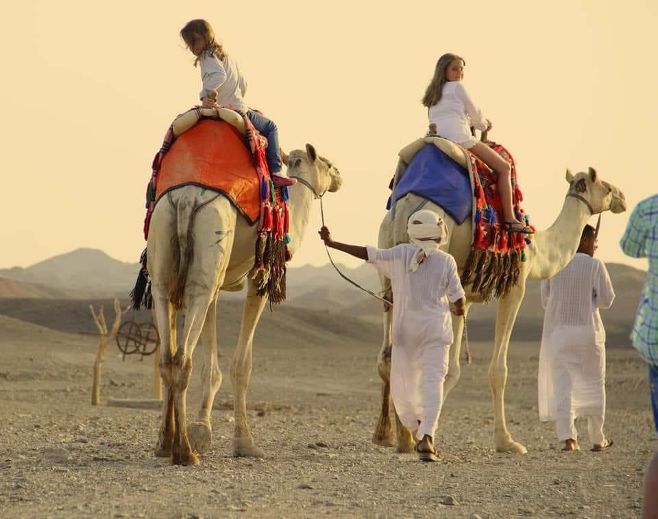 رحلات الصحراء